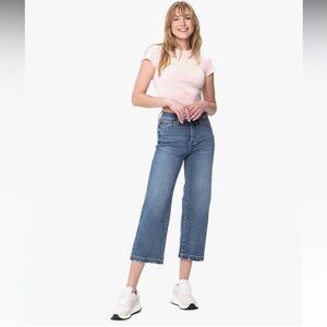 Judy Blue High Waisted Vintage Wash Cropped Wide Leg Jeans, 88592 size 20w